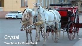  Presentation with white horse - Theme having coaching culture - horse-drawn carriage the old city background and a gray colored foreground