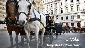  Presentation with vienna - PPT theme having horse-driven carriage at hofburg background and a gray colored foreground