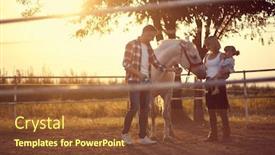  Presentation with happy hour - Slides consisting of horse-enjoying-the-family-presence background and a tawny brown colored foreground