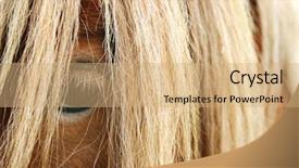  Presentation with horse - Cool new PPT theme with horse eye detail backdrop and a coral colored foreground