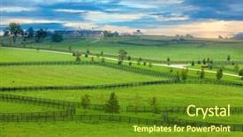  Presentation with kentucky - PPT theme consisting of horse farm in kentucky background and a tawny brown colored foreground