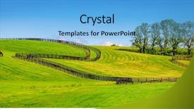  Presentation with farm - PPT theme with horse farm background and a light blue colored foreground
