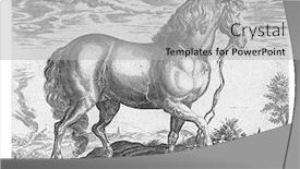 Presentation with anonymous - Amazing slides having horse-from-calabria-anonymous backdrop and a light gray colored foreground