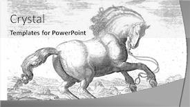  Presentation with engraving - Beautiful slides featuring horse-from-denmark-anonymous backdrop and a light gray colored foreground