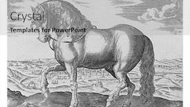  Presentation with anonymous - Slides with horse-from-friesland-anonymous background and a light gray colored foreground