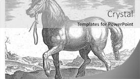  Presentation with anonymous - Beautiful PPT theme featuring horse-from-gulik-juliacus-anonymous backdrop and a light gray colored foreground