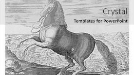  Presentation with engraving - Beautiful PPT layouts featuring horse-from-naples-anonymous backdrop and a light gray colored foreground