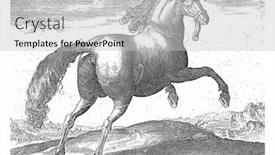  Presentation with anonymous - Colorful presentation design enhanced with horse-from-spain-anonymous backdrop and a light gray colored foreground