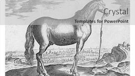  Presentation with anonymous - Slides having horse-from-thessaly-anonymous background and a light gray colored foreground