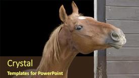  Presentation with evil - Slide set enhanced with horse-giving-us-the-evil background and a tawny brown colored foreground