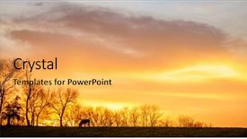  Presentation with kentucky - Presentation design consisting of horse grazing on a farm background and a yellow colored foreground