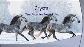  Presentation with horse - Presentation having horse herd run gallop across background and a lemonade colored foreground