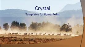  Presentation with chile - Cool new slide deck with horse herd run on pasture backdrop and a sky blue colored foreground