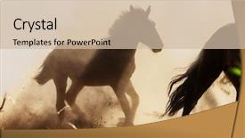  Presentation with south america world women - Cool new slide deck with horse herd run on pasture backdrop and a soft green colored foreground