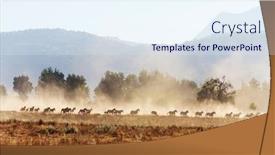  Presentation with chile - Slide deck having horse-herd-run-on-pasture background and a sky blue colored foreground
