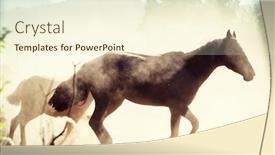  Presentation with pasture - PPT theme featuring horse-herd-run-on-pasture background and a cream colored foreground