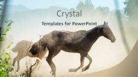  Presentation with chile - Beautiful slide set featuring horse-herd-run-on-pasture backdrop and a sky blue colored foreground