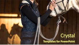  Presentation with horse - Presentation design consisting of horse in a stable background and a tawny brown colored foreground