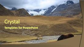  Presentation with main air routes in south america - Presentation theme with proteins - roasted pork cutlets wrapped background and a tawny brown colored foreground