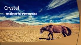  Presentation with vintage retro - Amazing theme having horse in himalayas ladakh india backdrop and a  colored foreground