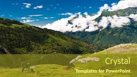  Presentation with himalaya - Theme with horse in indian himalaya scenic mountain landscape background and a tawny brown colored foreground
