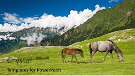  Presentation with himalaya - Colorful PPT layouts enhanced with panoramic view tibet natural - horse in indian himalaya scenic backdrop and a gold colored foreground