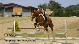  Presentation with horse - Presentation having horse jumping background and a coral colored foreground