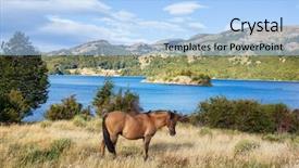  Presentation with music south america - Slide set enhanced with horse on pasture in chile background and a light blue colored foreground
