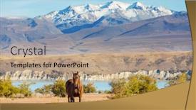  Presentation with pasture - Presentation theme having horse-on-pasture-in-mountains background and a coral colored foreground