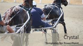  Presentation with horse - Presentation having horse pacing background and a light gray colored foreground