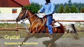  Presentation with horse racing robotics - Audience pleasing slides consisting of horse racer backdrop and a coral colored foreground