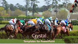  Presentation with horse racing - 