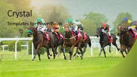  Presentation with horse racing - Presentation theme with horse racing outdoor derby background and a mint green colored foreground