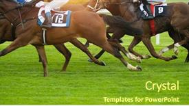  Presentation with horse racing - Presentation featuring horse racing outdoor derby background and a tawny brown colored foreground