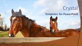  Presentation with horse head - Presentation design having horse-rest-it-head background and a sky blue colored foreground