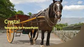  Presentation with killarney - PPT theme enhanced with horse ride in killarney national background and a tawny brown colored foreground