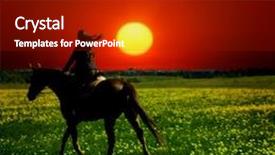  Presentation with rider - Amazing PPT theme having horse rider backdrop and a black colored foreground