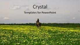  Presentation with rider - Presentation theme featuring horse rider background and a light gray colored foreground