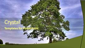  Presentation with oak - PPT theme featuring horse-riders-under-big-oak background and a tawny brown colored foreground