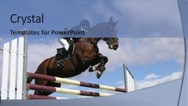  Presentation with horse riding - Theme consisting of horse riding - big bay background and a teal colored foreground