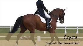  Presentation with advanced - Cool new presentation theme with horse saddle - advanced dressage test backdrop and a coral colored foreground