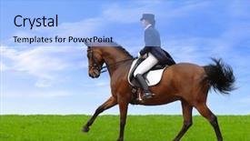  Presentation with horse - Colorful PPT layouts enhanced with horse saddle - dressage backdrop and a light blue colored foreground