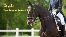  Presentation with horse - PPT theme consisting of horse saddle - dressage background and a tawny brown colored foreground