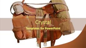  Presentation with white horse - Theme featuring horse-saddle-isolated-with-path background and a tawny brown colored foreground