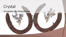  Presentation with white horse - PPT theme with horse shoes lucky charm - lavender herb flower leaf sprigs background and a light gray colored foreground
