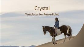  Presentation with stallion - Audience pleasing PPT theme consisting of horse through the mohave desert backdrop and a  colored foreground