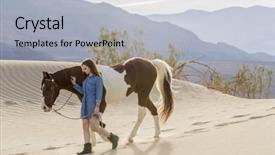  Presentation with horse riding - Amazing slides having horse through the mohave desert backdrop and a  colored foreground