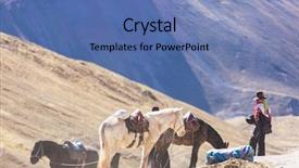  Presentation with service award - Audience pleasing PPT theme consisting of horse trails - authentic guide service in vinicunca backdrop and a teal colored foreground