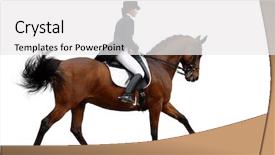  Presentation with horse - Slides with horse trails - dressage background and a white colored foreground