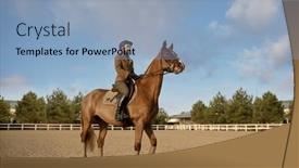  Presentation with stallion - Slide set enhanced with horse-trainer-with-her-stallion background and a light blue colored foreground